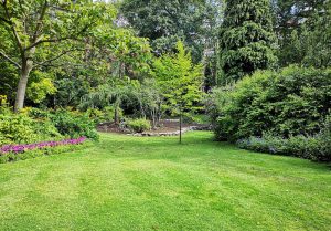 Optimiser l'expérience du jardin à Xanton-Chassenon